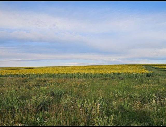 FARM FOR SALE IN BETHLEHEM RURAL
